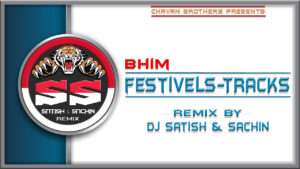 Read more about the article Bhima Koregaon – Dance Mix – Dj Satish And Sachin