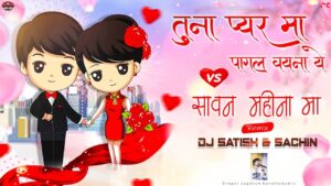 Read more about the article Tuna Pyar Ma Pagal Vayna Ye – Vs – Sawan Mahina Ma – Dj Satish And Sachin